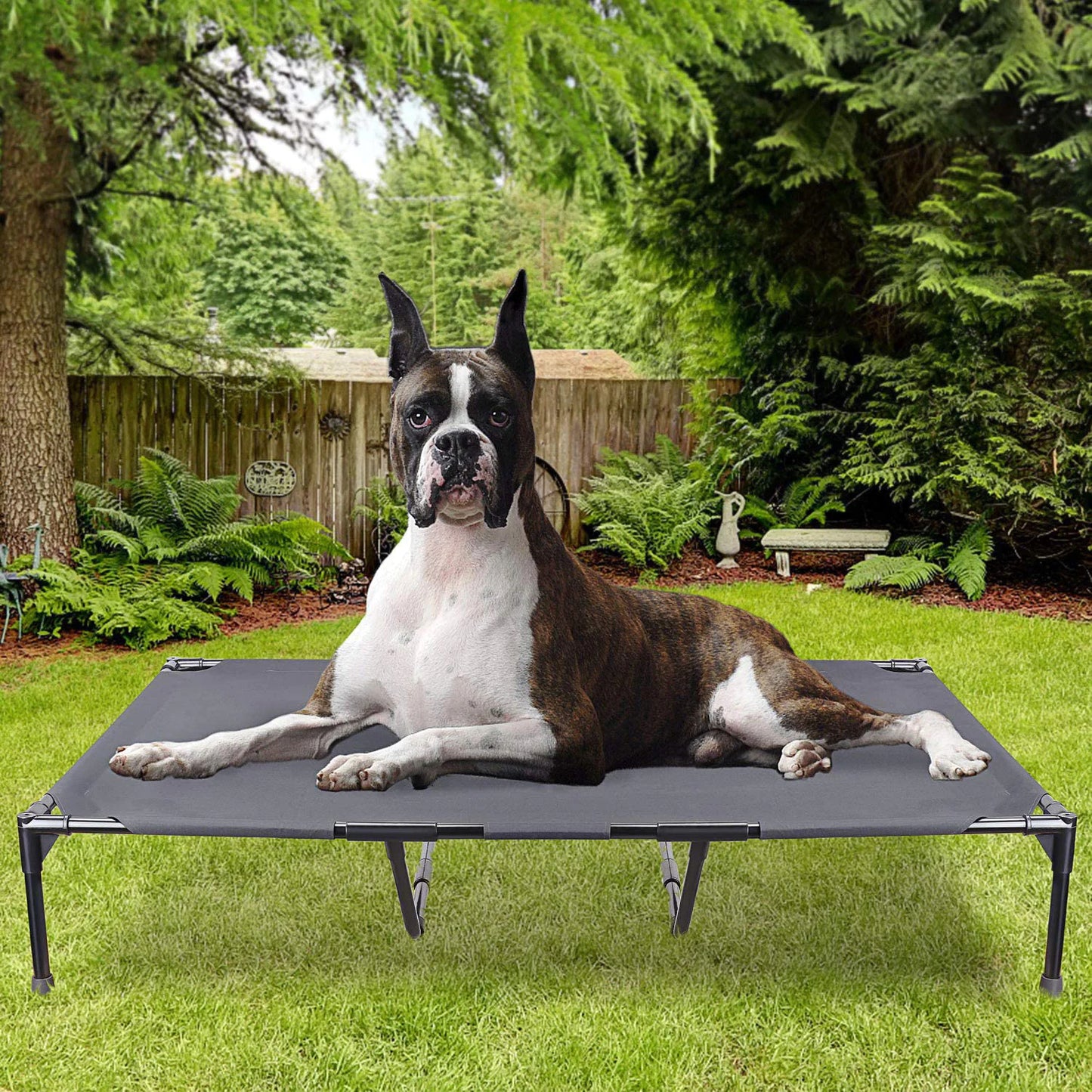 Cama Elevada para Perros Grandes