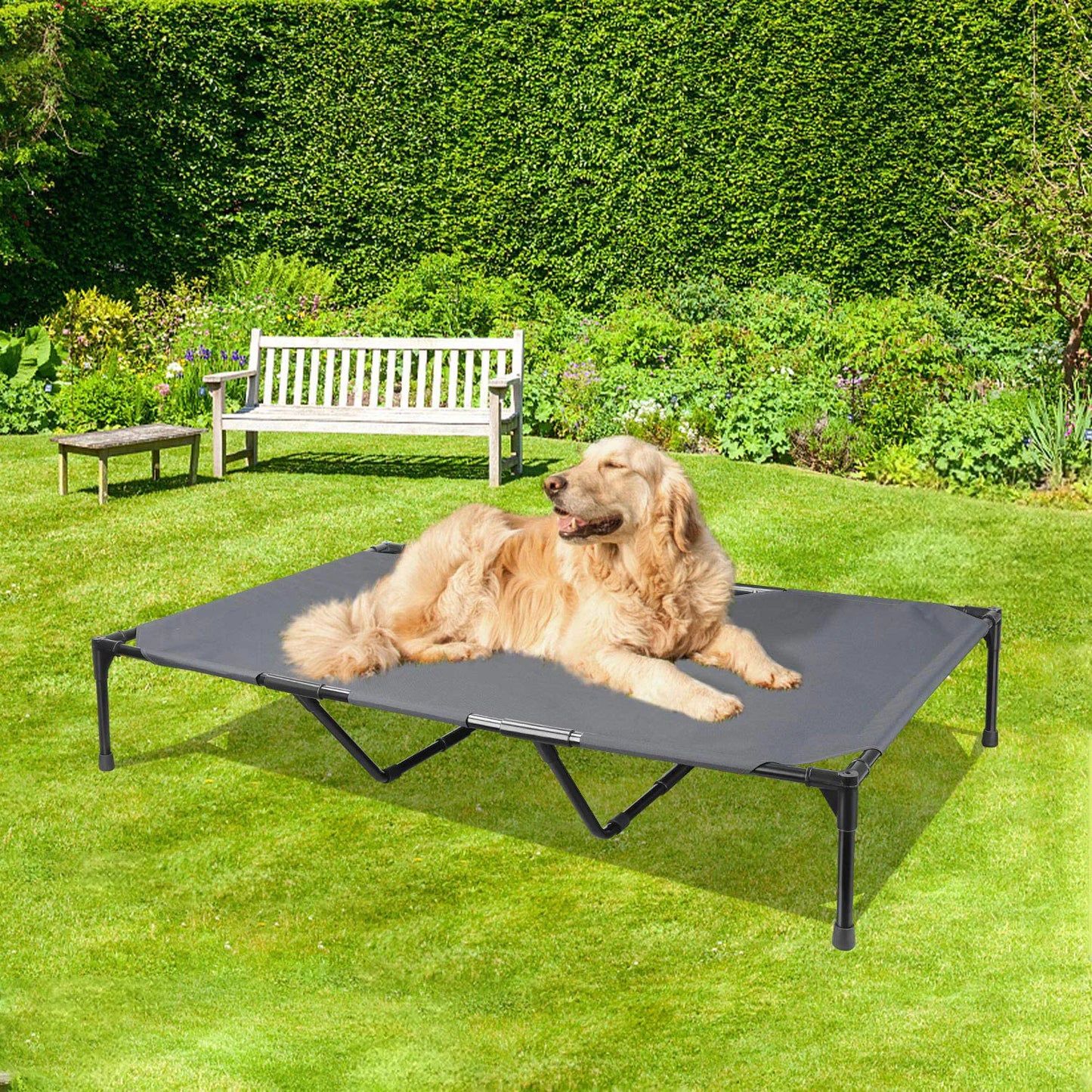 Cama Elevada para Perros Grandes