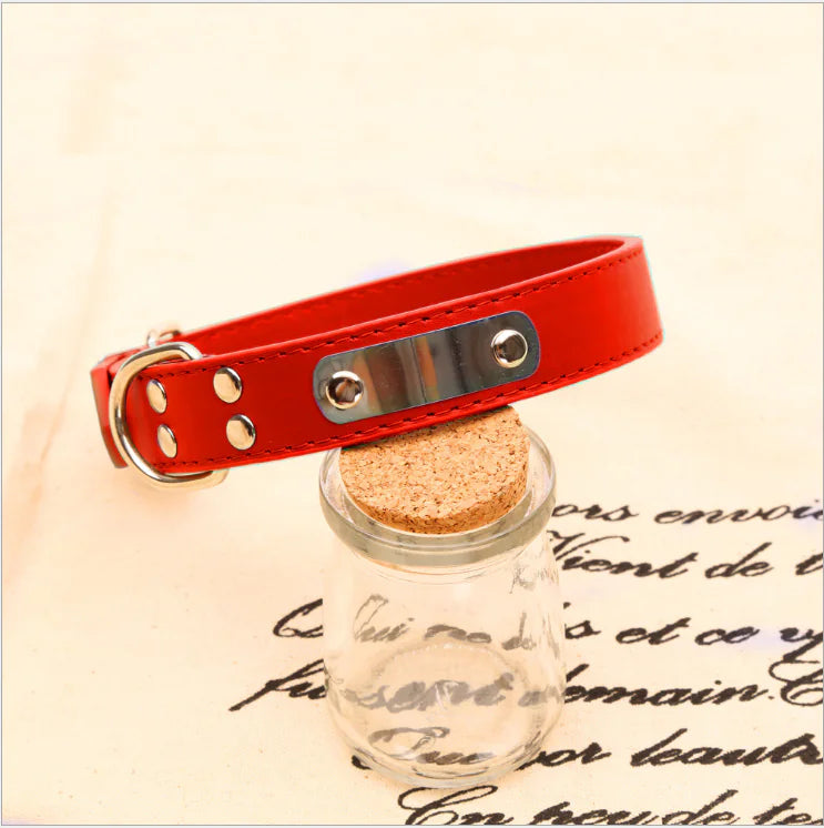 Collar Personalizado para Perro
