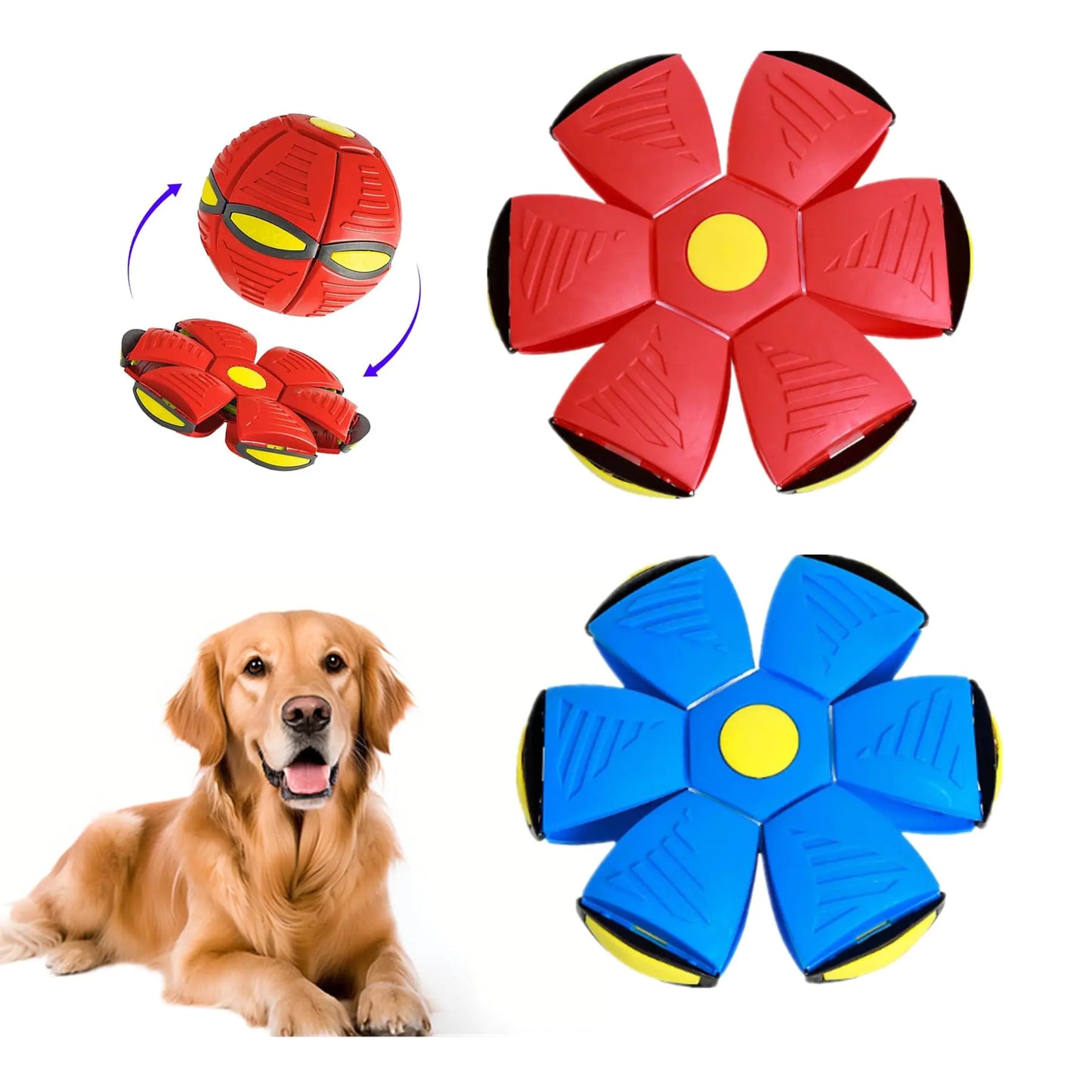 Pelota/Frisbee para perros