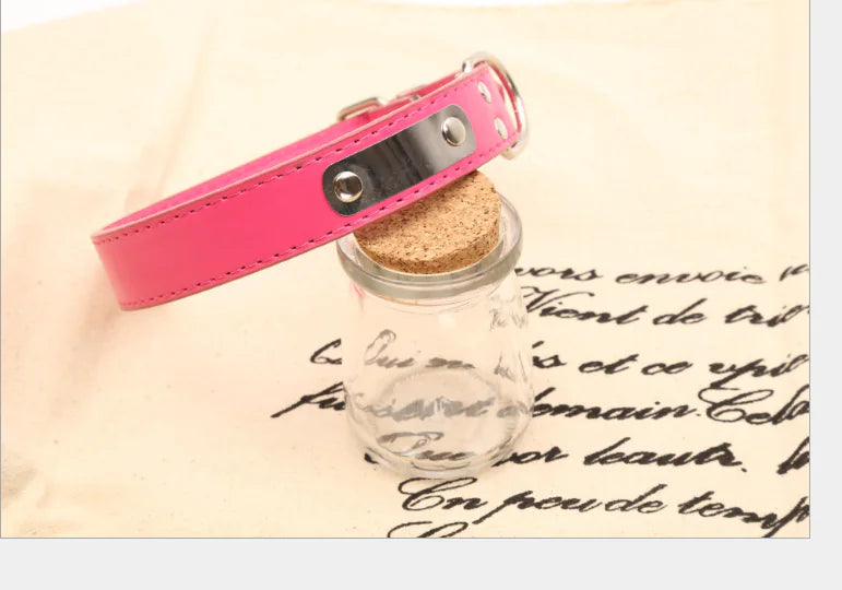 Collar Personalizado para Perro