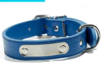 Collar Personalizado para Perro