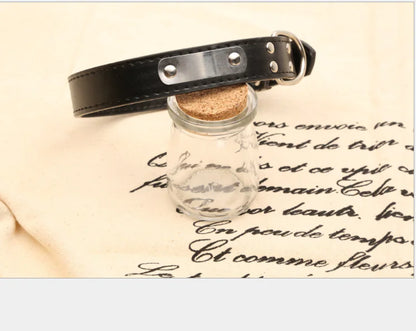 Collar Personalizado para Perro