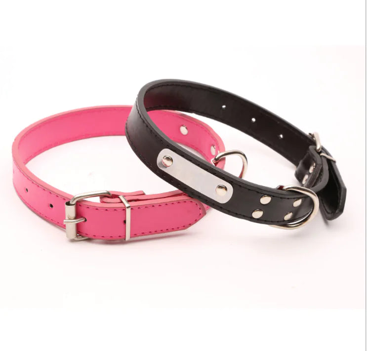 Collar Personalizado para Perro