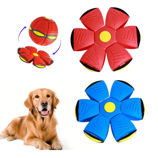Pelota/Frisbee para perros