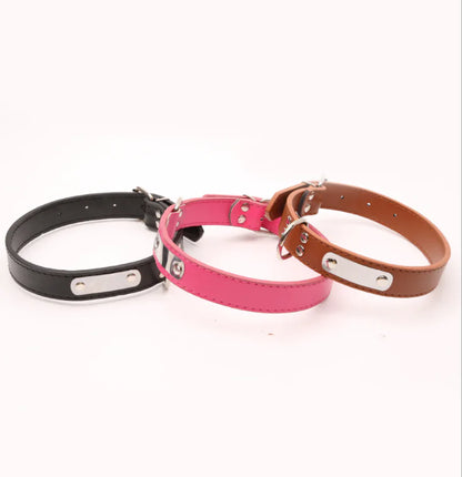 Collar Personalizado para Perro