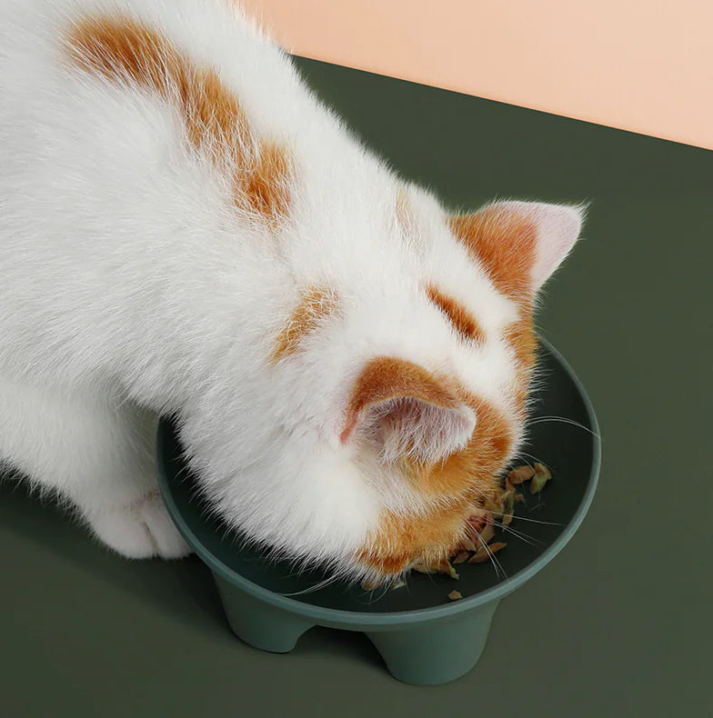 Cuenco Anti-Derrame para Gatos y Perros