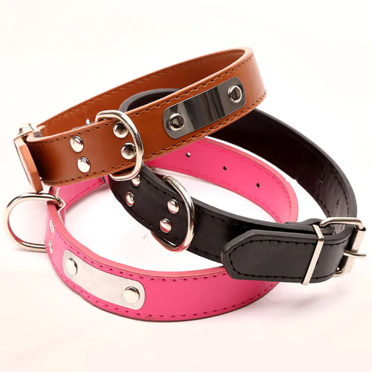 Collar Personalizado para Perro